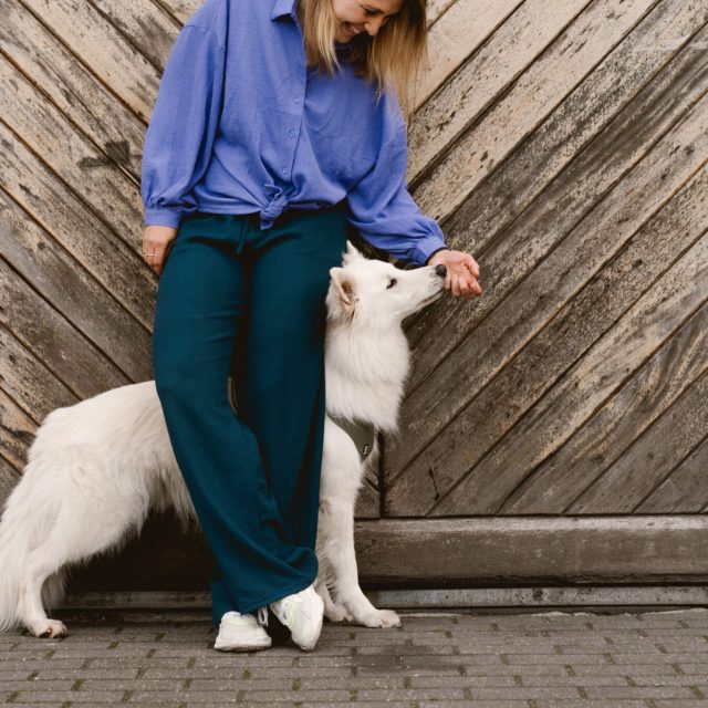 Lewis | Lisse